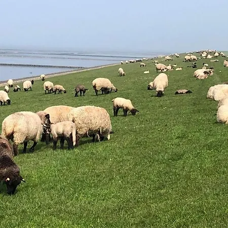 Lägenhet Holiday Meerzeit